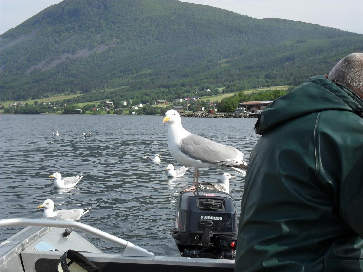 Fagervik Camping Tresfjord Екстериор снимка